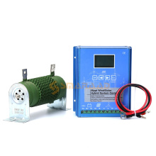 New Arrival 100W-800W Wind and Solar Controller